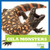 Gila Monsters - 9781620313824 by Vanessa Black, 9781620313824