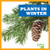 Plants in Winter by Jenny Fretland VanVoorst, 9781620313954