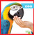 Zoo - 9781620312995 by Rebecca Pettiford, 9781620312995