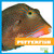 Pufferfish - 9781620311905 by Mari Schuh, Dana Flemming, 9781620311905