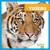 Tigers - 9781620311691 by Cari Meister, 9781620311691