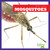 Mosquitoes - 9781620310854 by Mari Schuh, 9781620310854