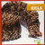 Eels - 9781620310977 by Cari Meister, 9781620310977