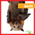 Bats - 9781620310687 by Martha E. H. Rustad, 9781620310687