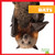 Bats - 9781620310687 by Martha E. H. Rustad, 9781620310687