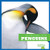 Penguins by Cari Meister, 9781620310663