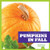 Pumpkins in Fall by Mari Schuh, 9781620310601