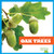 Oak Trees - 9781620314494 by Rebecca Stromstad Glaser, 9781620314494