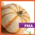Fall - 9781620314524 by Emily C. Dawson, 9781620314524