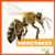 Honeybees - 9781620314708 by Mari Schuh, 9781620314708