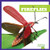 Fireflies - 9781620314692 by Mari Schuh, 9781620314692