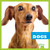 Dogs - 9781620311431 by Cari Meister, 9781620311431