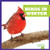 Birds in Winter - 9781620314982 by Jenny Fretland VanVoorst, 9781620314982