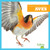 Aves (Birds) (Spanish Edition) - 9781620316436 by Erica Donner, 9781620316436 Aves (Birds) (Spanish Edition) - 9781620316436 by Erica Donner, 9781620316436
