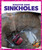 Sinkholes - 9781620316054 by Vanessa Black, 9781620316054