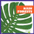 Rain Forests - 9781620317341 by Nadia Higgins, 9781620317341