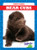Bear Cubs - 9781624969560 by Genevieve Nilsen, Dana Flemming, 9781624969560