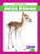 Deer Fawns by Genevieve Nilsen, Dana Flemming, 9781624969591