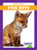 Fox Kits - 9781624969621 by Genevieve Nilsen, Dana Flemming, 9781624969621