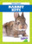 Raccoon Cubs - 9781624969713 by Genevieve Nilsen, Dana Flemming, 9781624969713