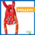 Pulleys - 9781624968556 by Erika S. Manley, 9781624968556