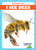 I See Bees - 9781641282208 by Genevieve Nilsen, Clayton Hansen, 9781641282208