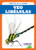 Veo libélulas (I See Dragonflies) (Spanish Edition) - 9781641286862 by Genevieve Nilsen, 9781641286862