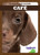 Café (Brown) by Anna C. Peterson, 9781645270485