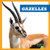 Gazelles - 9781641285520 by Penelope S. Nelson, 9781641285520
