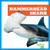 Hammerhead Shark - 9781641289634 by Jenna Lee Gleisner, 9781641289634