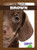 Brown - 9781641289320 by Anna C. Peterson, 9781641289320