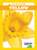 Yellow - 9781641289535 by Anna C. Peterson, 9781641289535