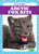 Arctic Fox Kits - 9781641287456 by Genevieve Nilsen, 9781641287456