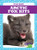 Arctic Fox Kits - 9781641287456 by Genevieve Nilsen, Clayton Hansen, 9781641287456