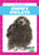 Snowy Owlets - 9781641287609 by Genevieve Nilsen, 9781641287609