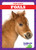 Foals - 9781641281164 by Tim Mayerling, 9781641281164