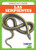 Las serpientes (Snakes) (Spanish Edition) - 9781645272656 by Genevieve Nilsen, 9781645272656