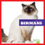Birmans - 9781645274476 by Cameron L. Woodson, 9781645274476