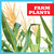 Farm Plants by Tessa Kenan, 9781645275275