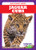Jaguar Cubs - 9781645274896 by Genevieve Nilsen, Dana Fleming, 9781645274896