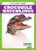 Crocodile Hatchlings - 9781645274872 by Genevieve Nilsen, Dana Fleming, 9781645274872