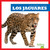 Los jaguares (Jaguars) by Marie Brandle, 9781645278665