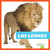 Los leones (Lions) by Marie Brandle, 9781645278689