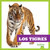 Los tigres (Tigers) by Marie Brandle, 9781645278740