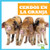 Cerdos en la granja (Pigs on the Farm) (Spanish Edition) by Bizzy Harris, 9781645278801