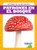 Patrones en el bosque (Patterns in the Forest) (Spanish Edition) by Genevieve Nilsen, 9781645278924