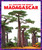 Madagascar - 9781636900148 by Kristine Spanier, MLIS, 9781636900148