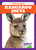 Kangaroo Joeys - 9781645279471 by Genevieve Nilsen, 9781645279471 Kangaroo Joeys - 9781645279471 by Genevieve Nilsen, 9781645279471