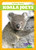 Koala Joeys - 9781645279501 by Genevieve Nilsen, 9781645279501