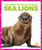 Sea Lions - 9781636900704 by Mari Schuh, 9781636900704